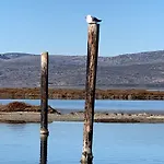 La Geck'home Le Barcarès