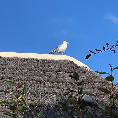 La Geck'home Feriehus