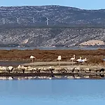 La Geck'home Σπίτι διακοπών *