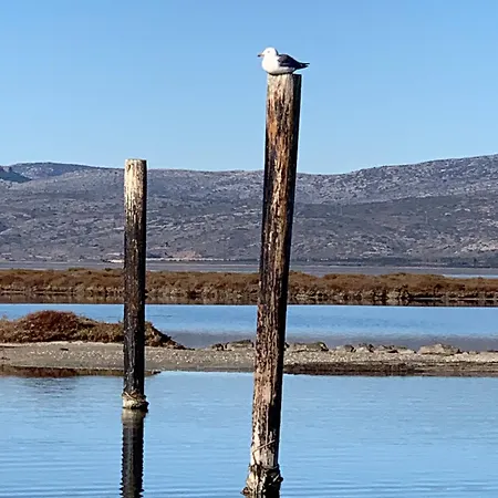 La Geck'home Le Barcarès